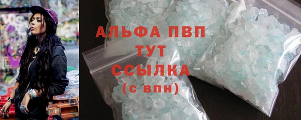 стаф Абинск