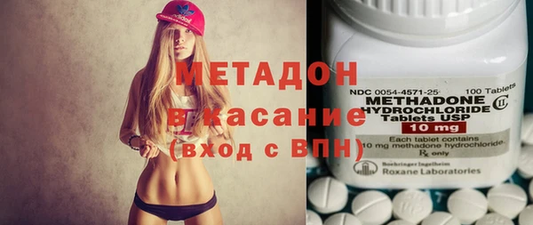 прущие грибы Абаза