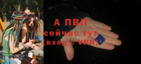 стаф Абинск