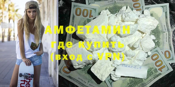 прущие грибы Абаза