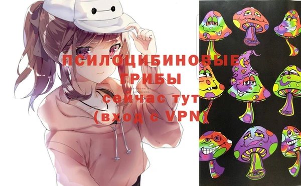 прущие грибы Абаза