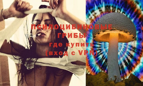 стаф Абинск