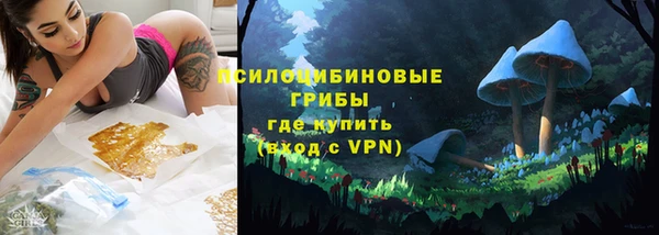 прущие грибы Абаза